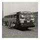 Twin Coach / Fageol 1962