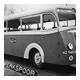 Bus Ragom 31 (TP163) uit 1936
