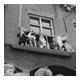Sint op balkon 1950
